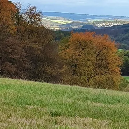 Romantik Alte Vogtei 4* Hamm (Sieg)