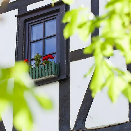 Hotel Romantik Alte Vogtei 4*