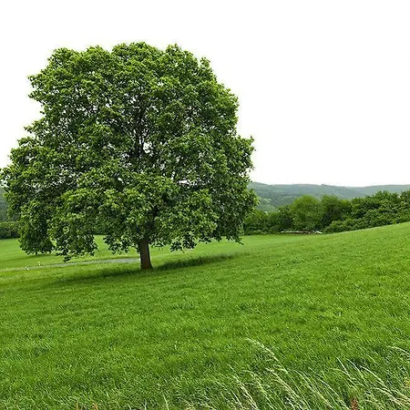 Romantik Alte Vogtei Szálloda Hamm (Sieg)