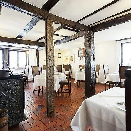 Romantik Alte Vogtei 酒店