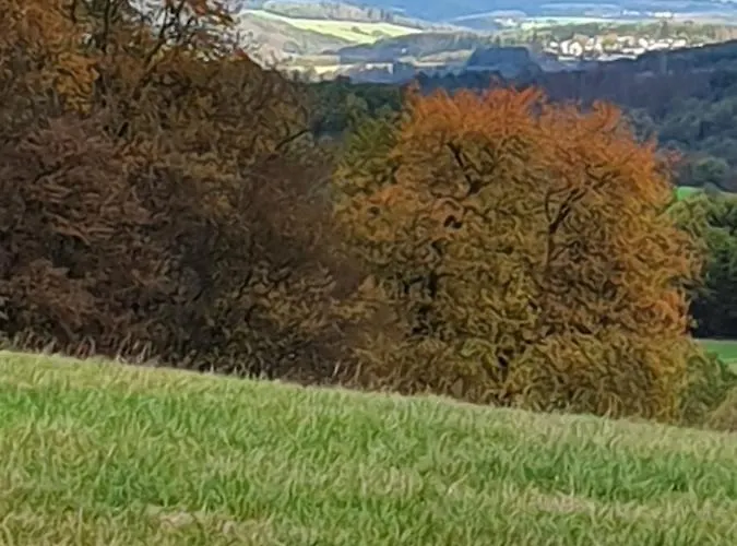 Romantik Alte Vogtei 4* Hamm (Sieg)