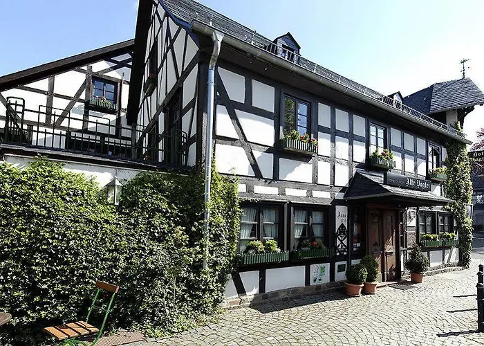 Hotel Romantik Alte Vogtei Hamm (Sieg)